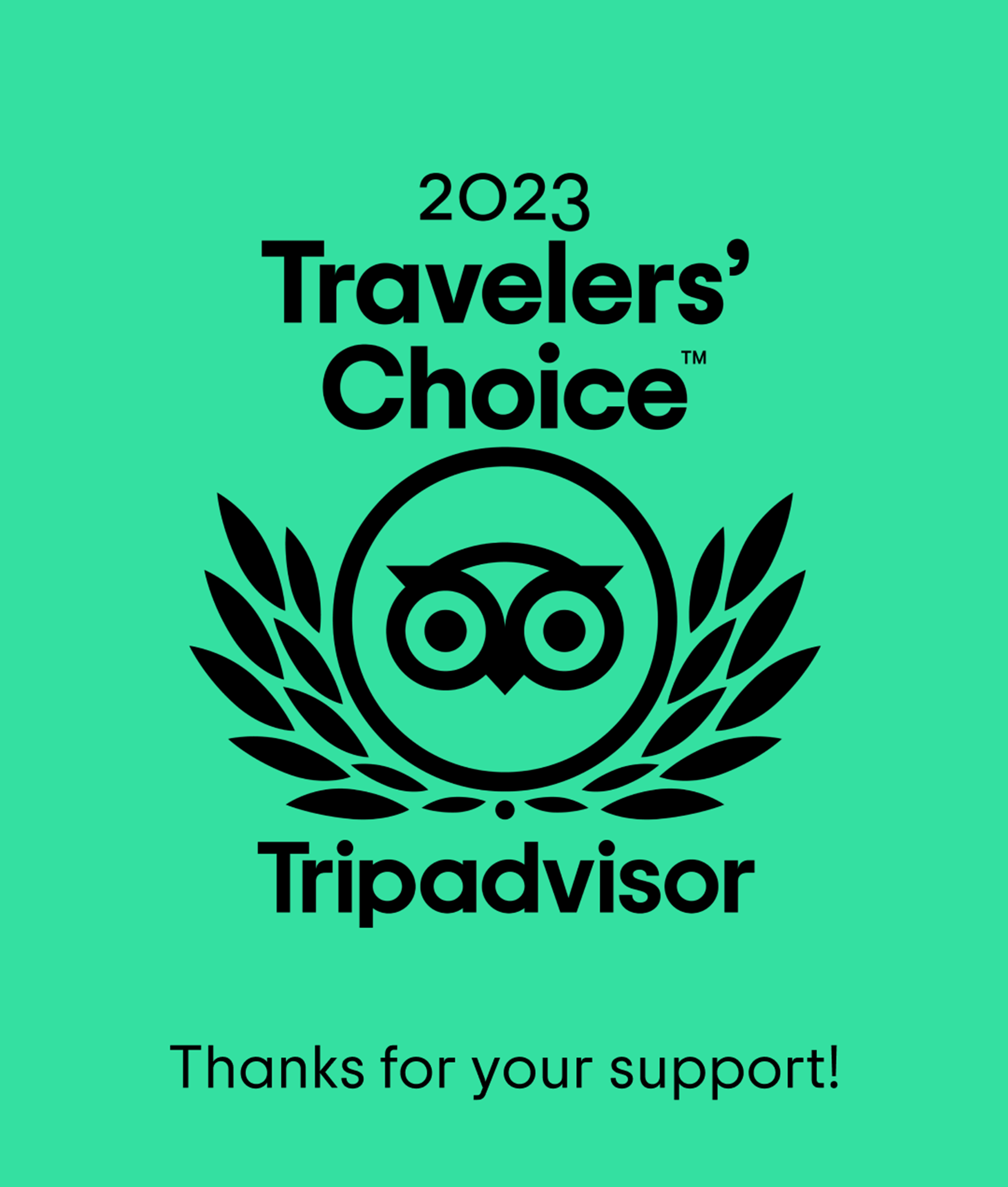 trip advisor 2023