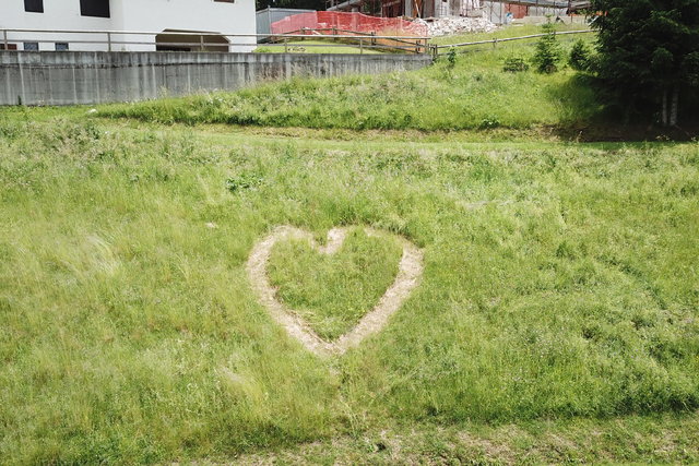 cuore nel prato
