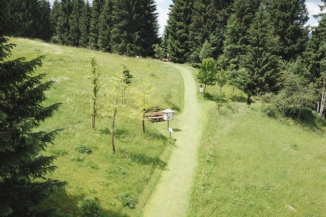 sentiero nei prati del villaggio