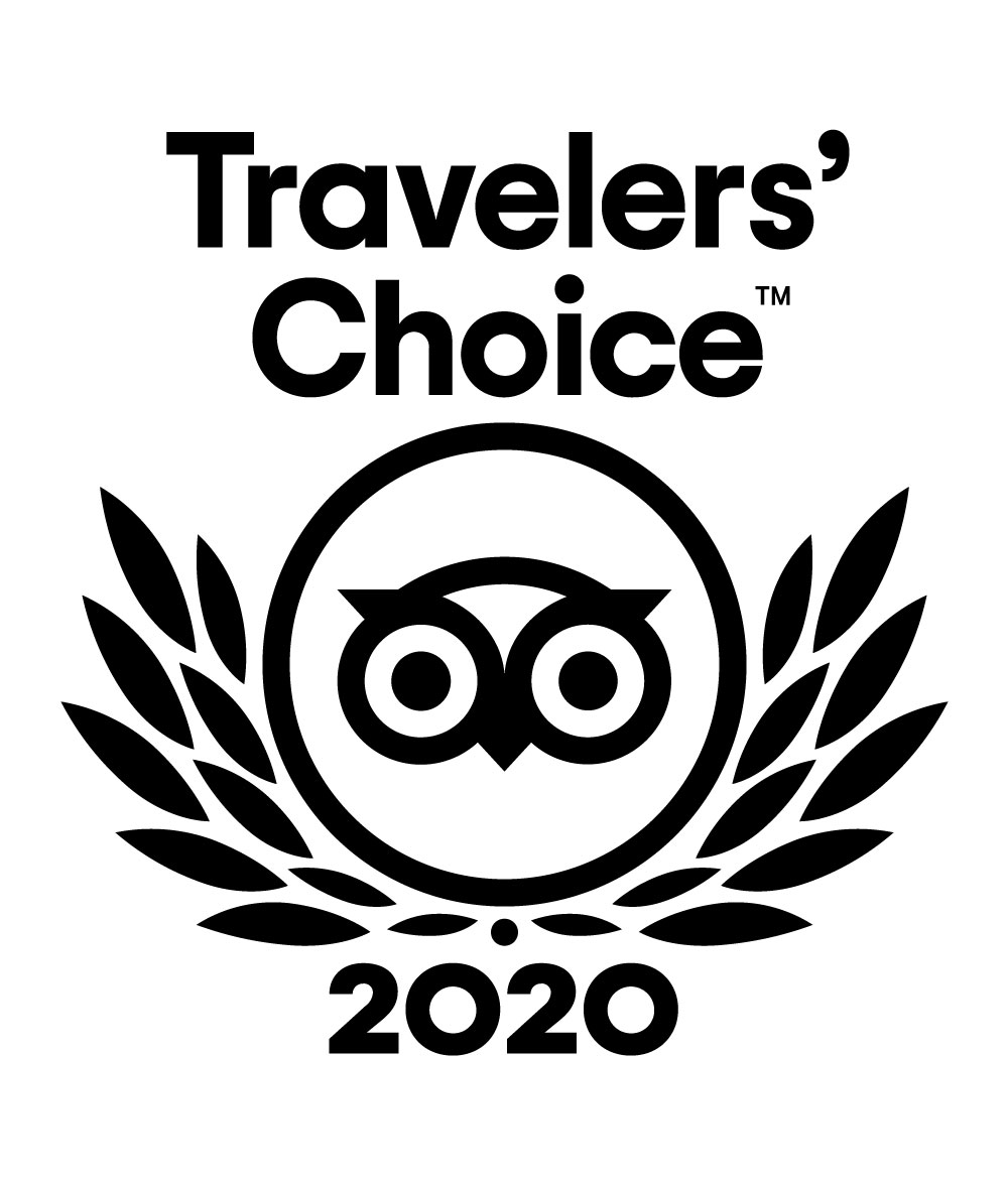 trip advisor 2020